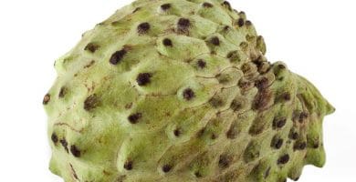 Atemoya