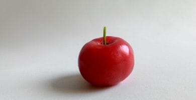 Fruta Exótica