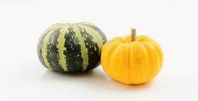 Calabaza