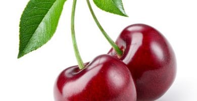 Cereza