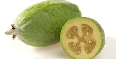 Feijoa