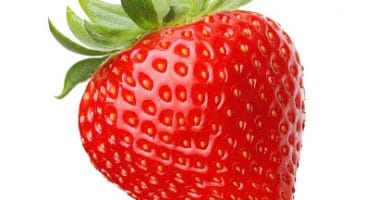 Fresa