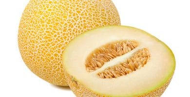 Melón