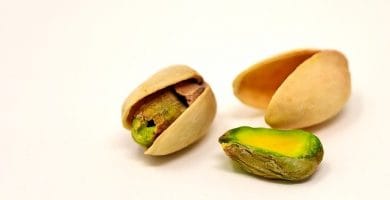 Pistacho
