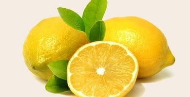 Limón